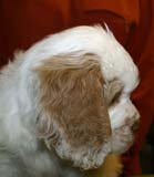 ST_Snow_Matter_8weeks_g