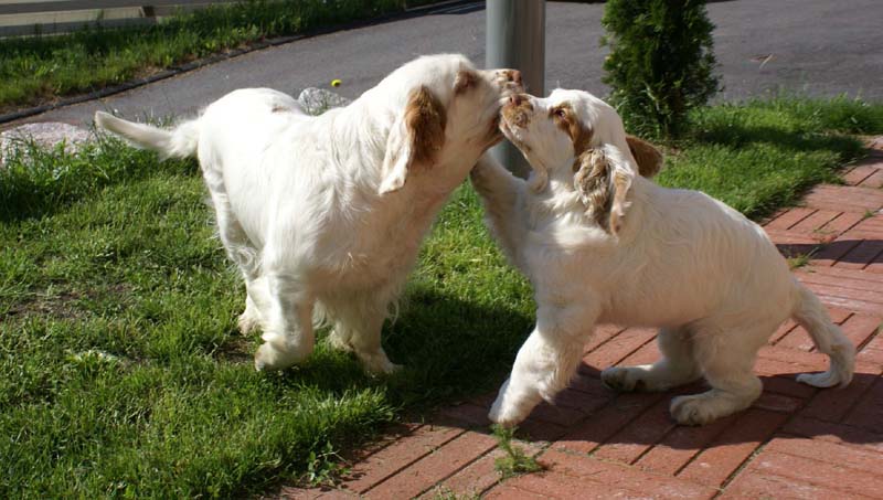 Matti_3,5months_i_Momma-Cotton