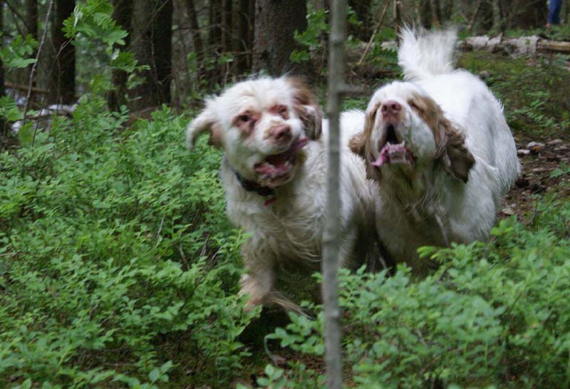 Molly_22months_Bumbaa