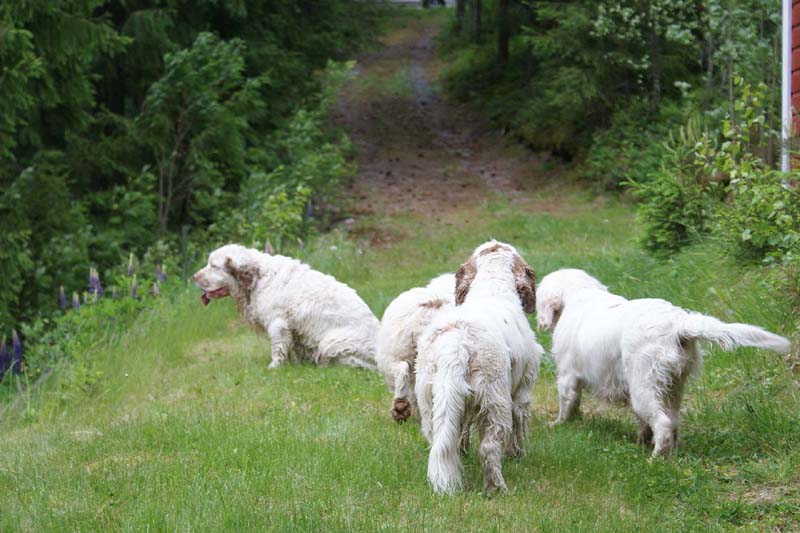 Molly_Rosie_Cotton_Bumbaa_b