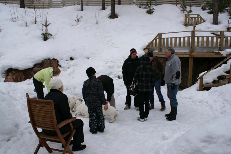 pups_23March2010_oooo