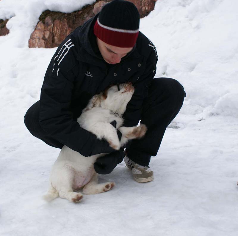 pups_23March2010_qqq