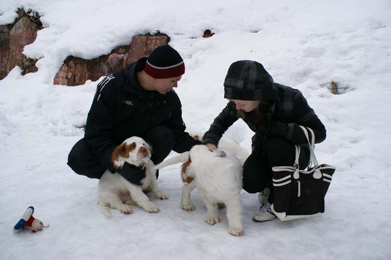 pups_23March2010_sss