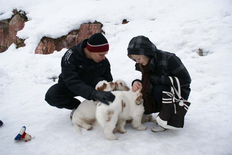 pups_23March2010_ttt