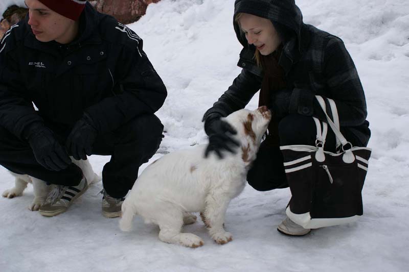 pups_23March2010_vvv