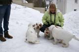 pups_23March2010_ww