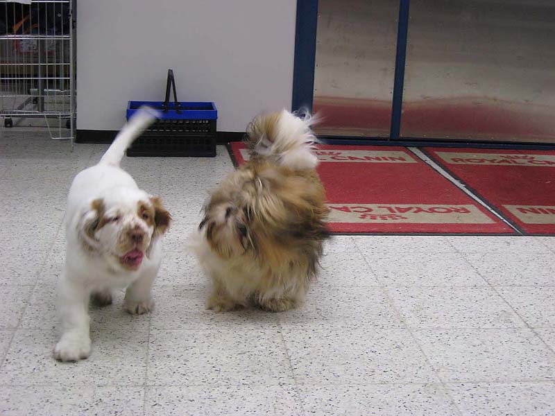 Napo_with_his_friend_Kalle