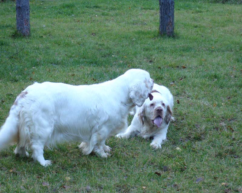 Nasu_10months_with_Hilla