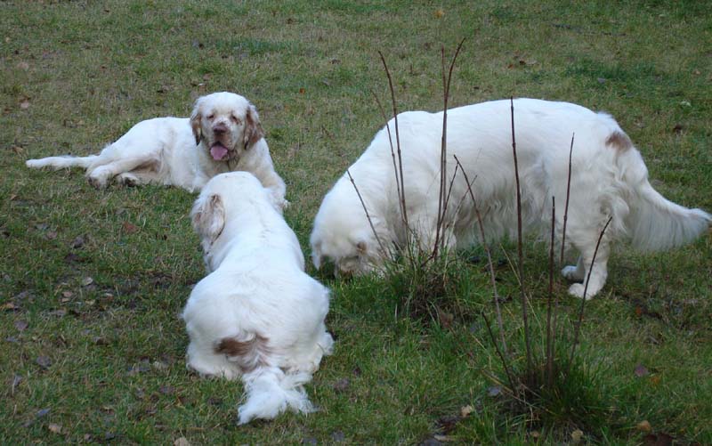 Nasu_10months_with_Hilla_Bumbaa