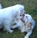 Nasu_10months_with_auntie-Bumbaa