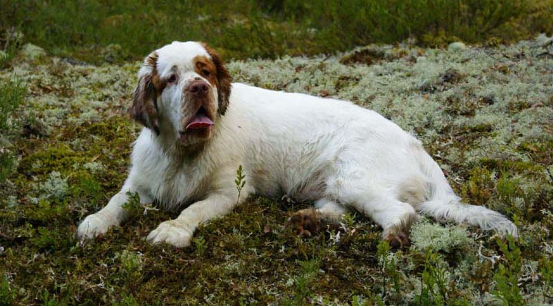 Fairytale_kids_6July2010_Napo