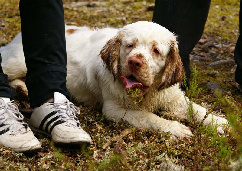 Fairytale_kids_6July2010_Nasu