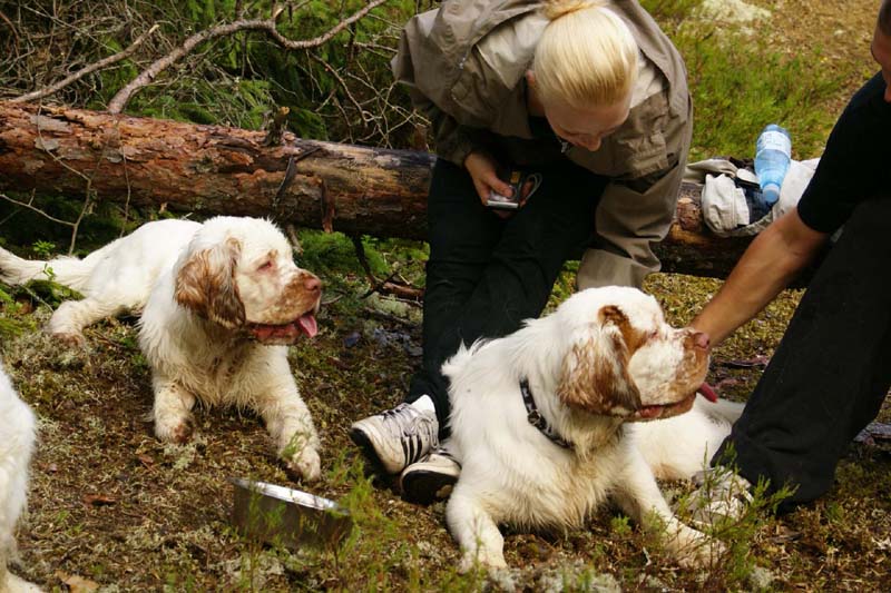 Fairytale_kids_6July2010_Nasu_Napo