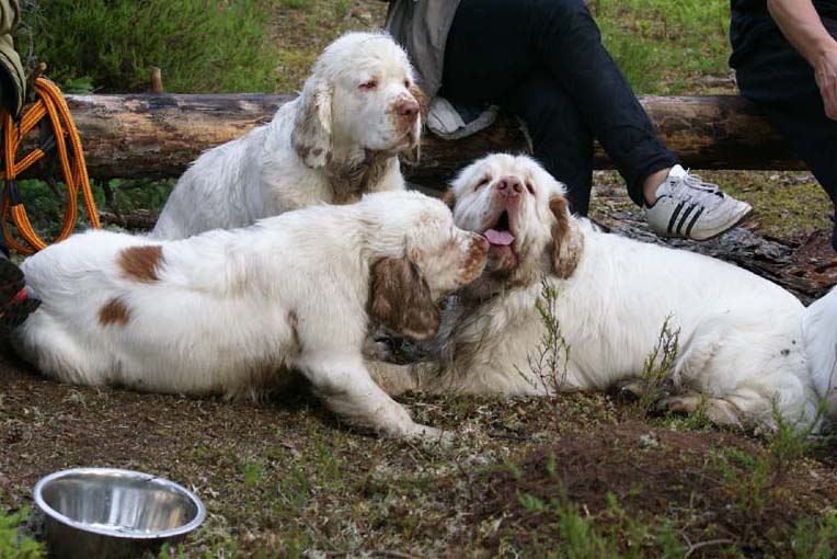 Fairytale_kids_6July2010_Nasu_Vito_Bumbaa