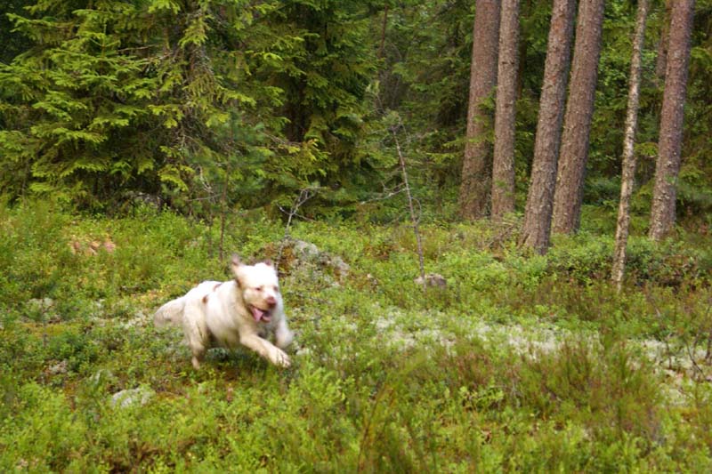 Fairytale_kids_6July2010_Nasu_b