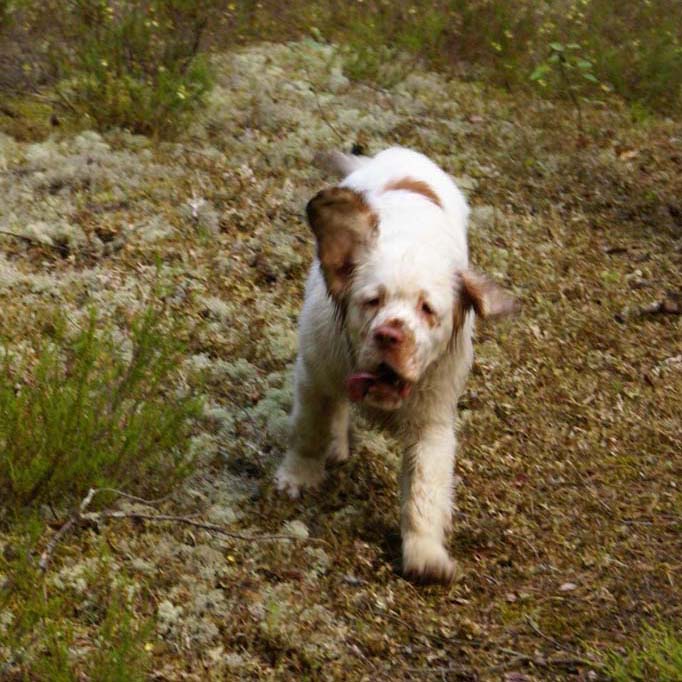 Fairytale_kids_6July2010_Nasu_c
