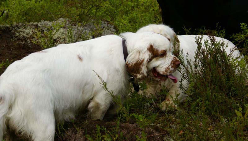 Fairytale_kids_6July2010_Olga