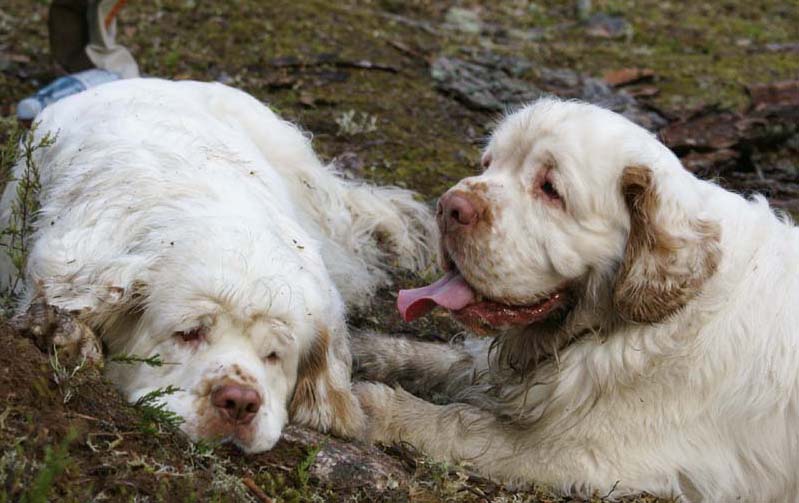 Fairytale_kids_6July2010_Vito_Bumbaa_b