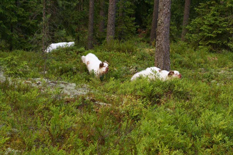 Fairytale_kids_6July2010_f