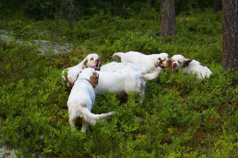 Fairytale_kids_6July2010_g