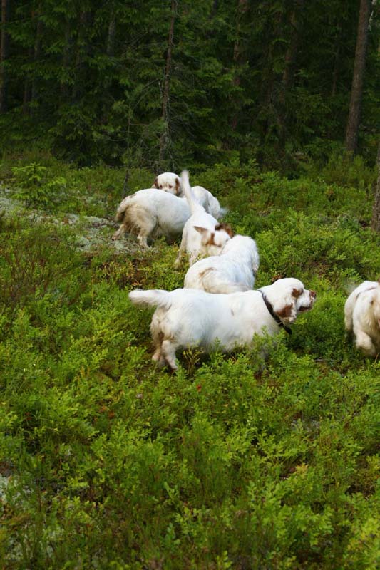 Fairytale_kids_6July2010_i