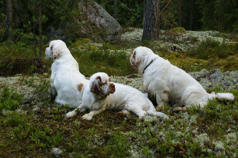 Fairytale_kids_6July2010_k