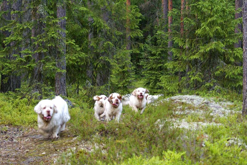 Fairytale_kids_6July2010_l