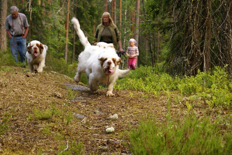 Fairytale_kids_6July2010_m