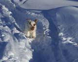 Fairytale_kids_meeting_12Feb2011_n