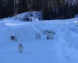 Fairytale_kids_meeting_12Feb2011_o