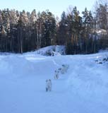 Fairytale_kids_meeting_12Feb2011_p