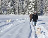 Fairytale_kids_meeting_12Feb2011_s