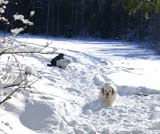 Fairytale_kids_meeting_12Feb2011_z