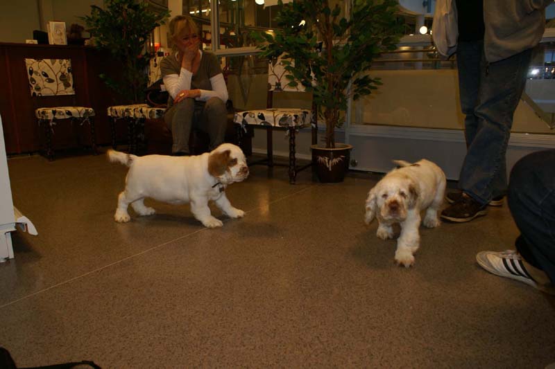 a_Bertta_Nasu_12weeks_g