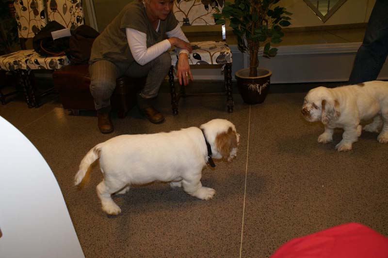 a_Bertta_Nasu_12weeks_h