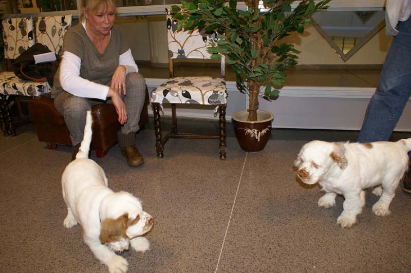 a_Bertta_Nasu_12weeks_i