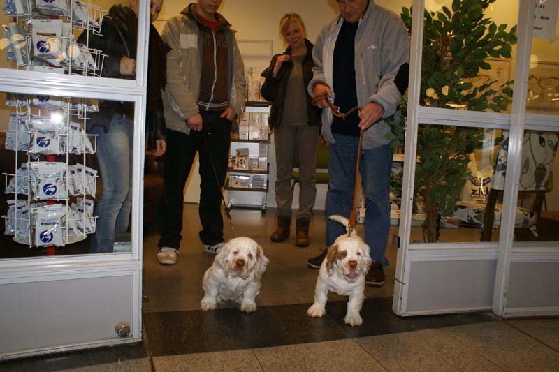 a_Bertta_Nasu_12weeks_j