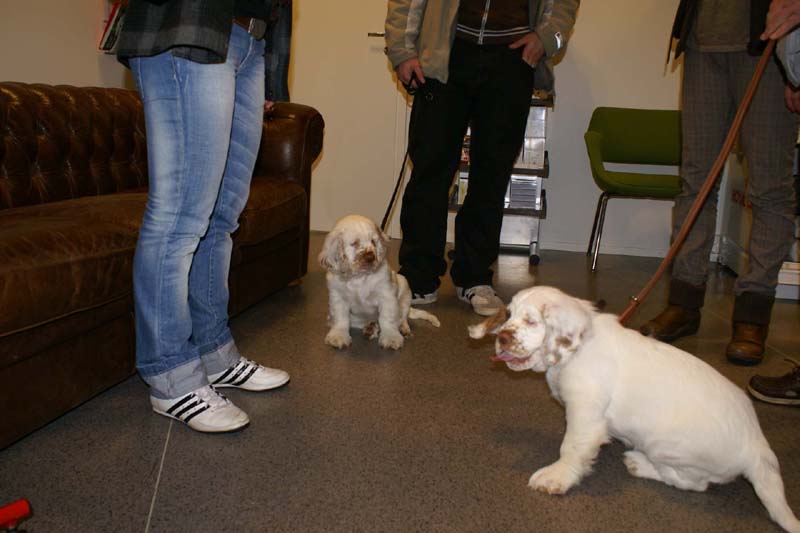 a_Bertta_Nasu_12weeks_l