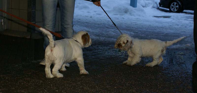 a_Bertta_Nasu_12weeks_n
