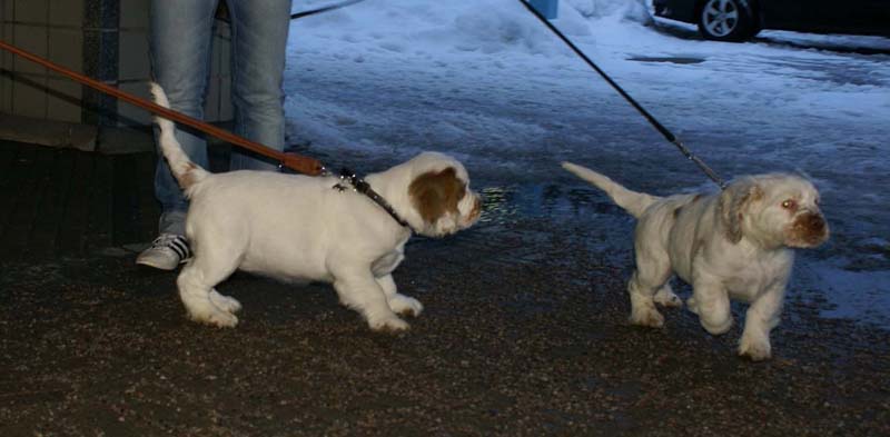 a_Bertta_Nasu_12weeks_o