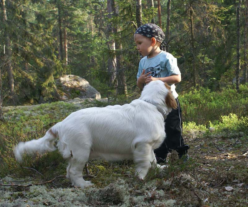 Fairytale_pups_18May_e