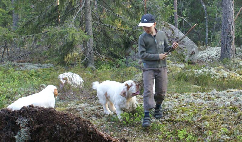 Fairytale_pups_18May_ll