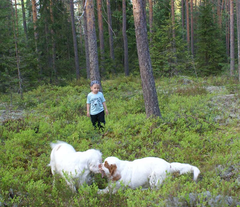 Fairytale_pups_18May_lll