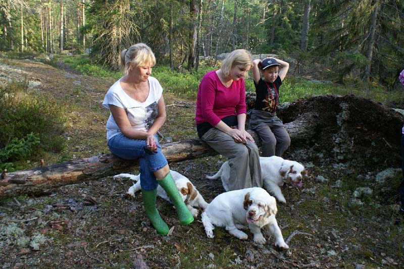 Fairytale_pups_18May_pp