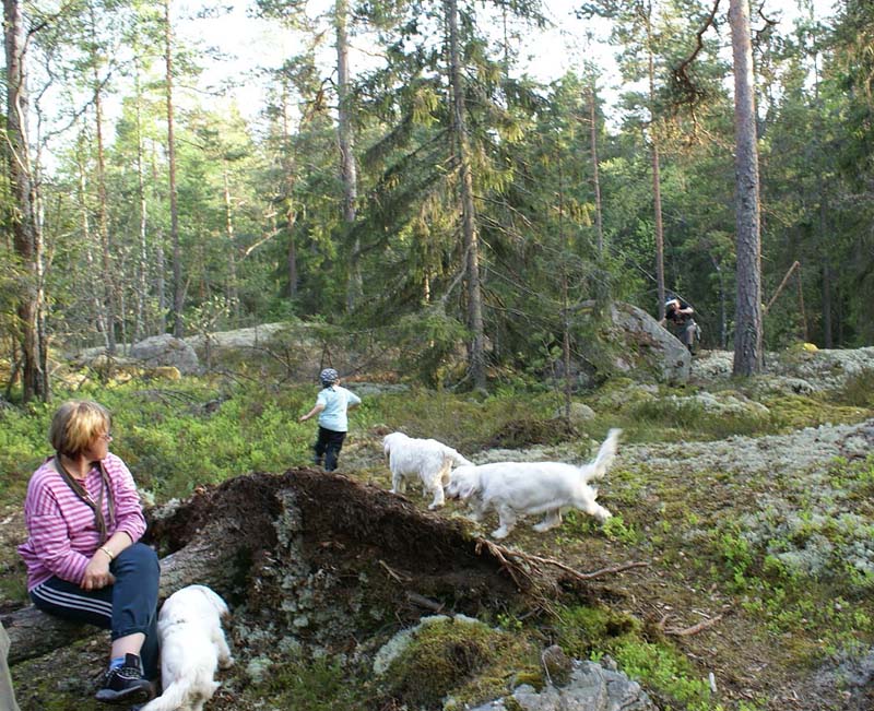 Fairytale_pups_18May_qqq