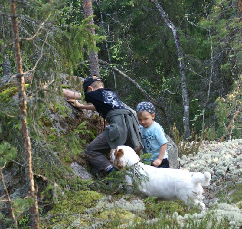 Fairytale_pups_18May_rr