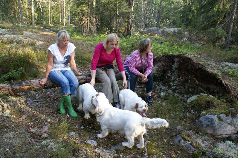 Fairytale_pups_18May_sss