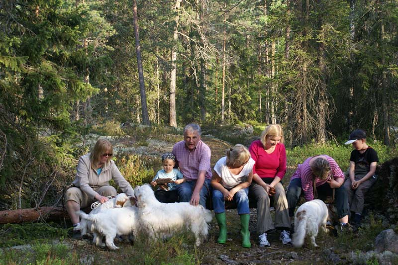 Fairytale_pups_18May_ww