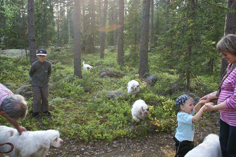 Fairytale_pups_18May_x