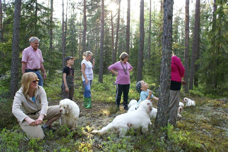 Fairytale_pups_18May_yy